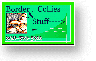 border collie books and training logo